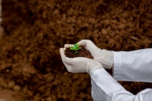 Soil Testing